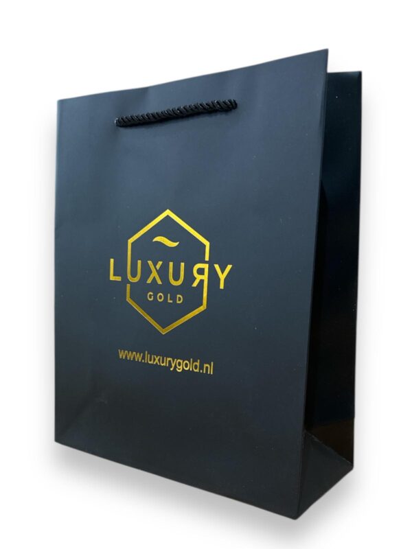 Papieren gift bag 10 stuks