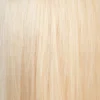 Lichtblond-platina-1.webp Genius weft extensions