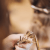 Nanoring Extensions
